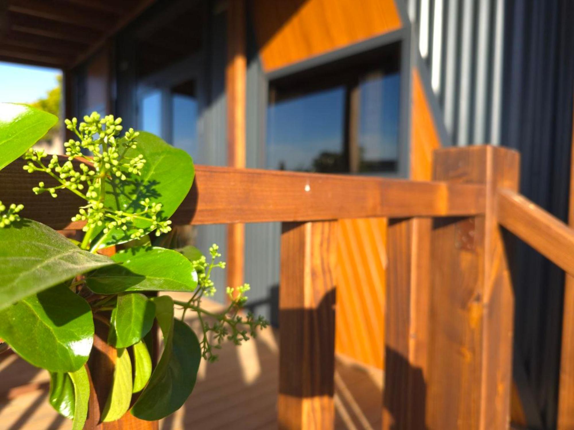 Natural Garden Tiny House Yalıkavak Extérieur photo